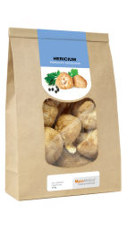 Hericium suen