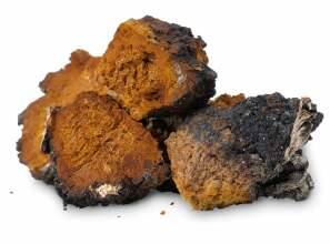 chaga-resistent-herpeetiline-meningiit-herpes