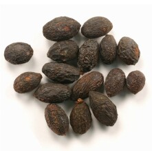 sae-Palmetto-Berries